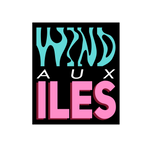 Wind aux Îles | cours de  planche à voile et de wing foil aux îles de la Madeleine, Activité îles de la Madeleine, Sup Îles de la Madeleine, Quoi faire aux îles de la Madeleine, Paddle board, planche à paggaie, activité nautique, activité familiale